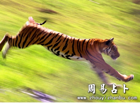 梦见下山是什么意思-第1张图片