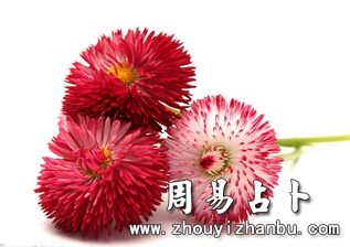 周公解梦梦见老同事-第1张图片