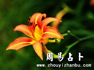 周公解梦梦见赢钱-第1张图片