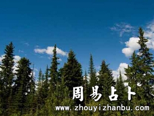 女人梦见掉头发是什么意思-第1张图片