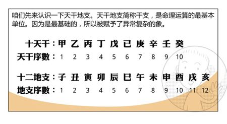 四柱八字中的十天干详论 