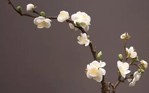 2021年2月8日农历腊月二十七出生的女孩起名用哪些字最好-第2张图片 2021年2月8日农历腊月二十七出生的女孩起名用哪些字最好-第2张图片