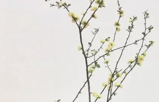 2020年7月20号五月三十生的男孩命运好吗，取什么名字好-第1张图片