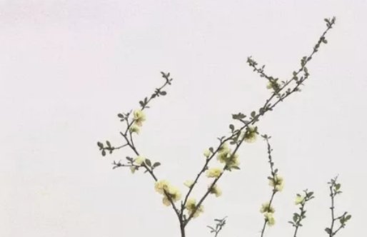 2020年7月20号五月三十生的男孩命运好吗，取什么名字好-第2张图片