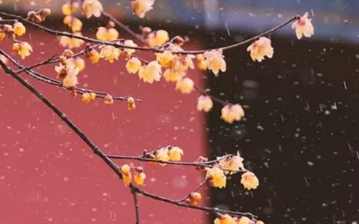 2020年6月21号五月初一夏至出生的女孩是什么命,如何取名字-第2张图片 2020年6月21号五月初一夏至出生的女孩是什么命,如何取名字-第2张图片