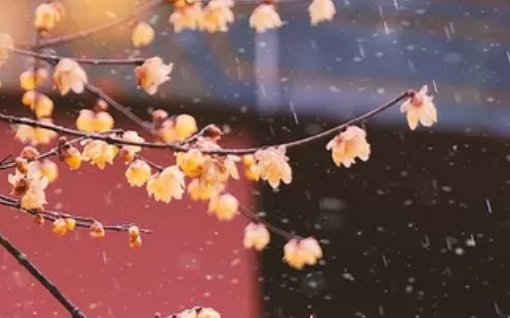 2020年6月22号五月初二出生的女孩是什么命,取什么名字好-第2张图片 2020年6月22号五月初二出生的女孩是什么命,取什么名字好-第2张图片