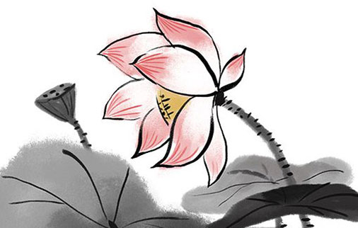 女孩取名带芬字,芬字配什么做名字好