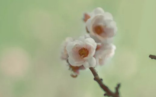 2021年3月10日农历正月二十七出生的男孩名字怎么起最好-第2张图片 2021年3月10日农历正月二十七出生的男孩名字怎么起最好-第2张图片