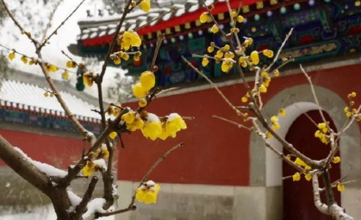 2020年6月13号闰四月二十二出生的女孩命好吗,取什么名字有气质-第1张图片 2020年6月13号闰四月二十二出生的女孩命好吗,取什么名字有气质-第1张图片