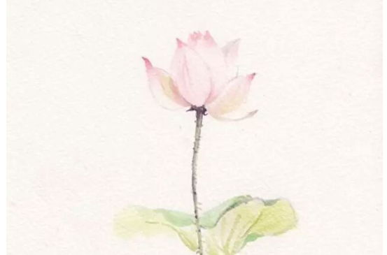 2020年3月16号出生的女孩怎么样取名字，结合八字起名