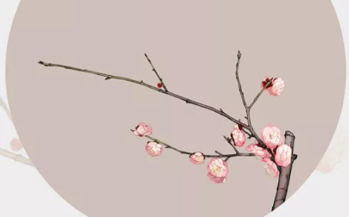2021年2月10日农历腊月二十九出生的女孩起什么名字好听-第1张图片 2021年2月10日农历腊月二十九出生的女孩起什么名字好听-第1张图片