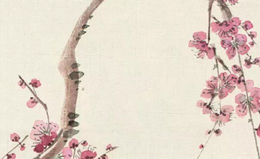 2020年6月21号五月初一生的男孩命运好吗,取什么名字好-第1张图片 2020年6月21号五月初一生的男孩命运好吗,取什么名字好-第1张图片