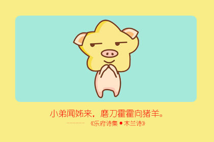 2019年五行属什么，2019年猪年是什么命
