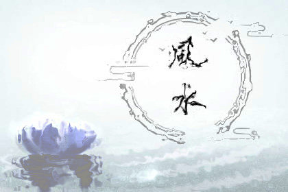 家中不宜放的东西有哪些-第3张图片
