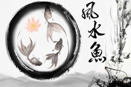 室内的鱼缸应该放到什么地方 有哪些风水要注意-第2张图片