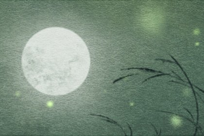 入户的地垫图案用什么比较好 怎么去选择合适的