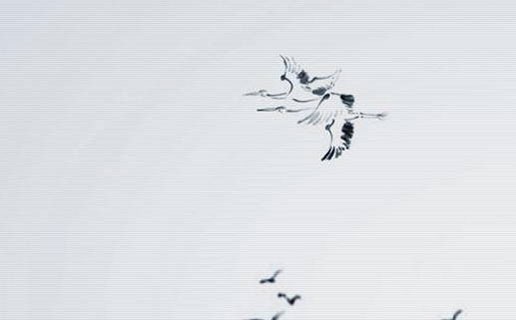 高端大气的英语培训机构名字,机构怎么取名好听