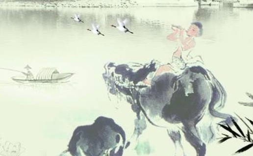 高端大气的英语培训机构名字,机构怎么取名好听-第2张图片