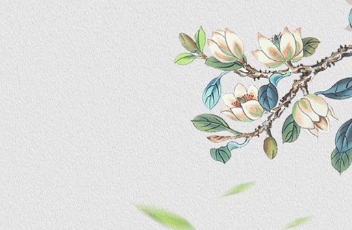 女孩取名带礼字,礼字搭配什么字寓意好-第1张图片