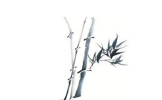 高端大气的科技公司名字大全,创意满分的科技公司名字-第1张图片