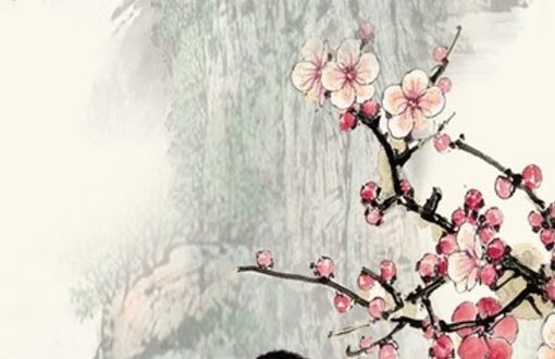 店铺取名字大全免费查询一下,吉祥取名的方法-第1张图片