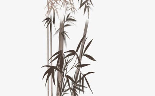 寓意好的生物公司名称,公司名寓意好-第2张图片
