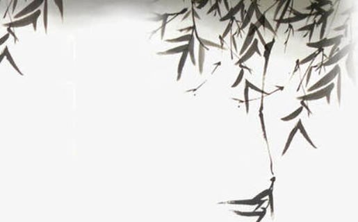 生物科技公司起名大全最新,科技公司名怎么取-第2张图片