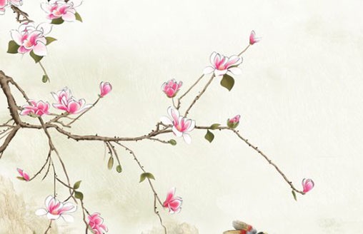 火命开服装店取什么名字好,店铺新潮五行名字-第1张图片