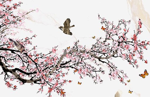 比较出名的舞蹈培训机构,创意性的企业好名-第2张图片