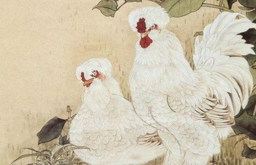 五行带水带木的公司名字大全,企业旺财好名推荐-第2张图片