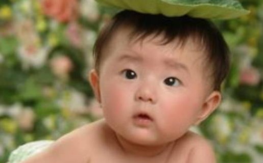 属虎男孩取什么名字好,2022年洋气男宝宝名字大全