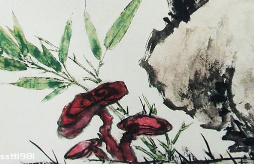 圣诞节出生的宝宝小名,圣诞生子起名优雅大气-第2张图片