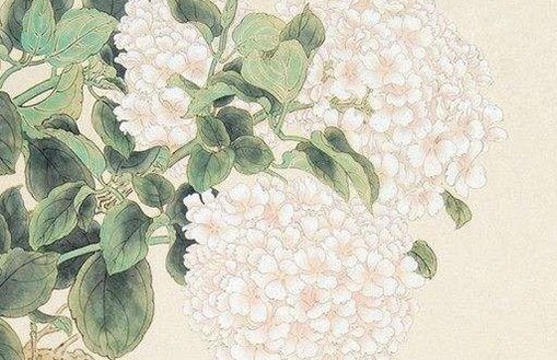 想开个店起什么名字好,清雅秀美店铺好名-第1张图片
