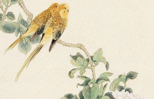 想开个店起什么名字好,清雅秀美店铺好名-第2张图片