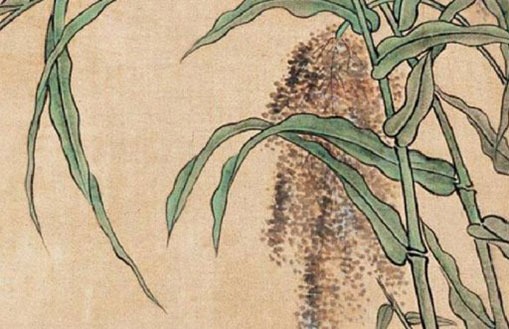 中介取名字大全参考,独特新颖的公司好字-第2张图片