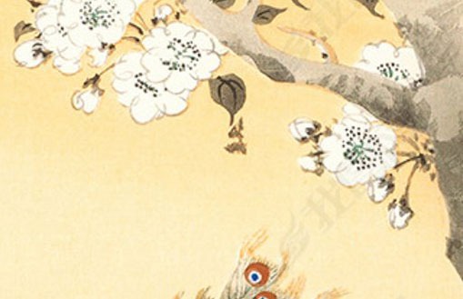 辅导机构起什么名字好,文雅的教育公司名字-第2张图片
