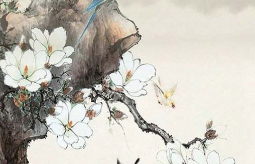 托育叫什么名字好,公司吉祥招财好名推荐-第2张图片
