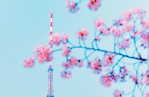 服装公司取名字参考大全,简单好听的新公司名字