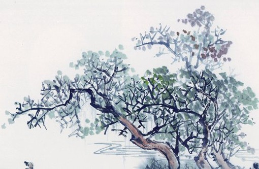 好听的设计工作室名字,公司取名热门常用字-第1张图片