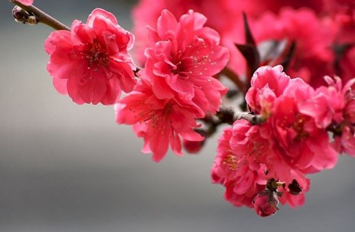 简单大气新公司名字,公司取名用什么字好