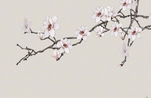 餐饮类公司名字,企业起朗朗上口的名称