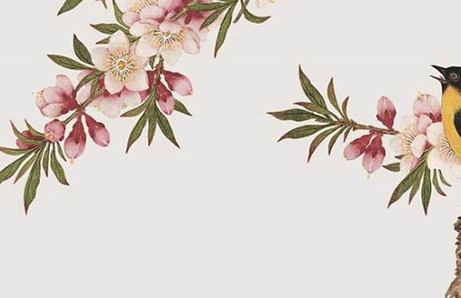 带七的公司名字大全,洋气新颖的企业起名-第2张图片