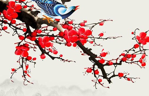 带艺术感的摄影工作室名字,公司起名好听易记-第1张图片
