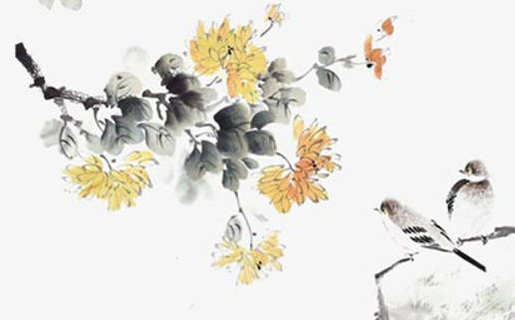 美容名字要叫什么好听,公司起名有设计感名称-第1张图片