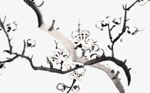 美容名字要叫什么好听,公司起名有设计感名称-第2张图片