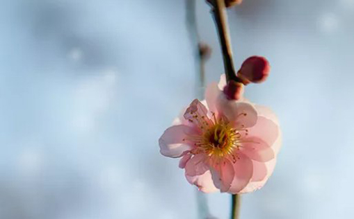 2021年3月7日农历正月二十四出生的男孩高分好名字大全-第2张图片 2021年3月7日农历正月二十四出生的男孩高分好名字大全-第2张图片