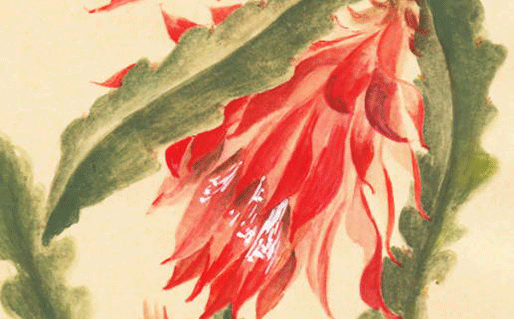 独特高雅的美容院名字,起名最佳用字推荐-第2张图片