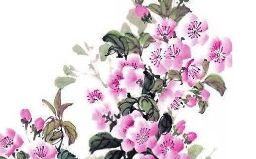 美容美体工作室名字,起名适合用字推荐