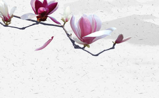 美容院取什么名字好,企业好听名字推荐-第2张图片