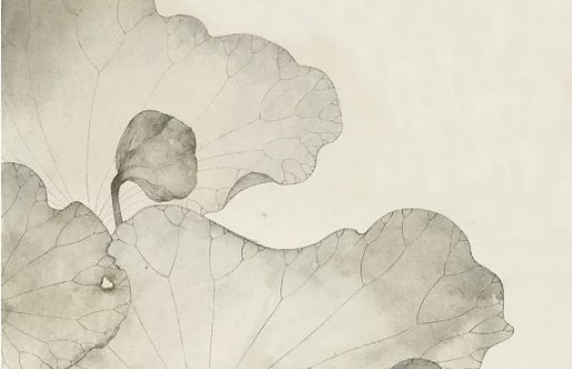 2020年7月14号五月二十四出生的女孩是什么命,如何起名字-第2张图片 2020年7月14号五月二十四出生的女孩是什么命,如何起名字-第2张图片